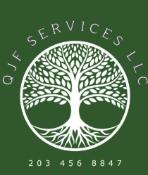 Expert Tree Pruning Near Me in Southbury, CT | Healthy, Beautiful Trees