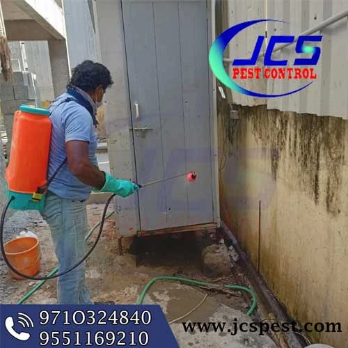 Which Season Is Best for Pest Control Treatments