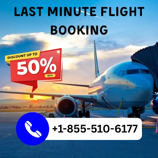 Southwest Airlines Support USA Contact Numbers: A Comprehensive Guide 