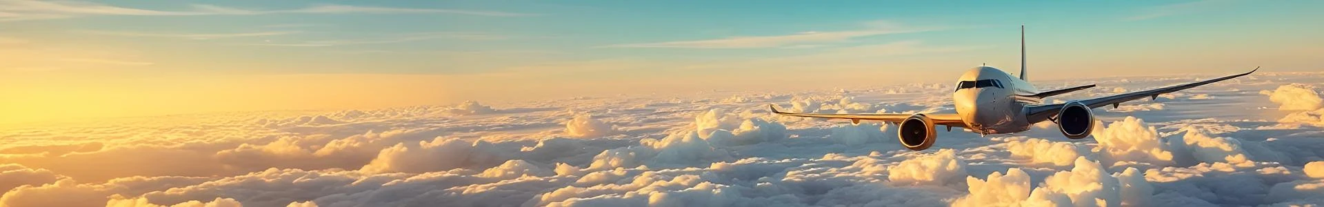 Fly Smart & Save Big: Cheap Flights from Canada to India