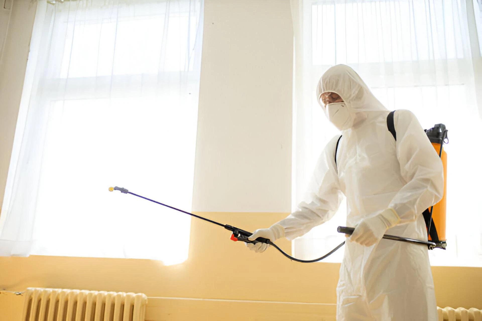 Rodent Problems in Murfreesboro? Here’s What You Should Do