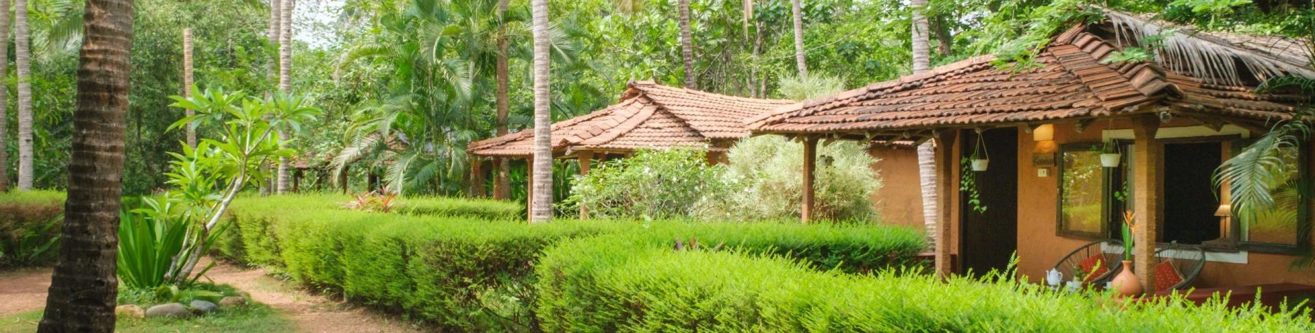 Ethical Approach to Herping in India