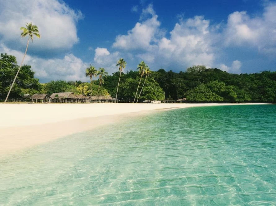 Exploring the Waterfalls on Road to Hana: A Traveler’s Journey