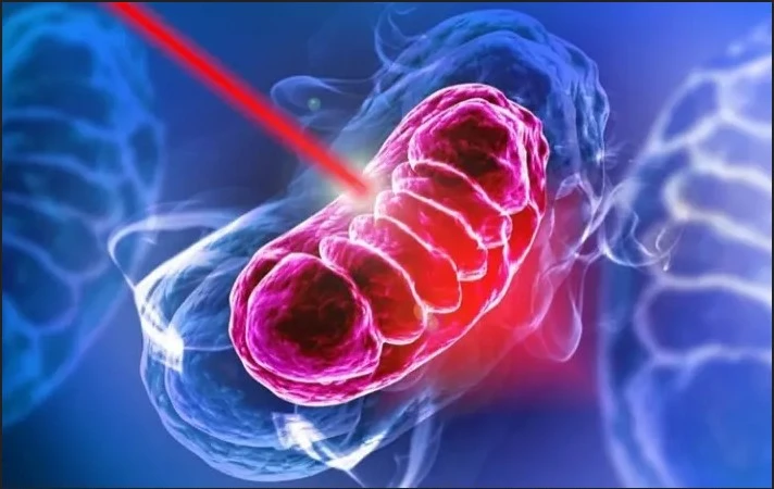 Unlocking the Benefits of Red Light Therapy London