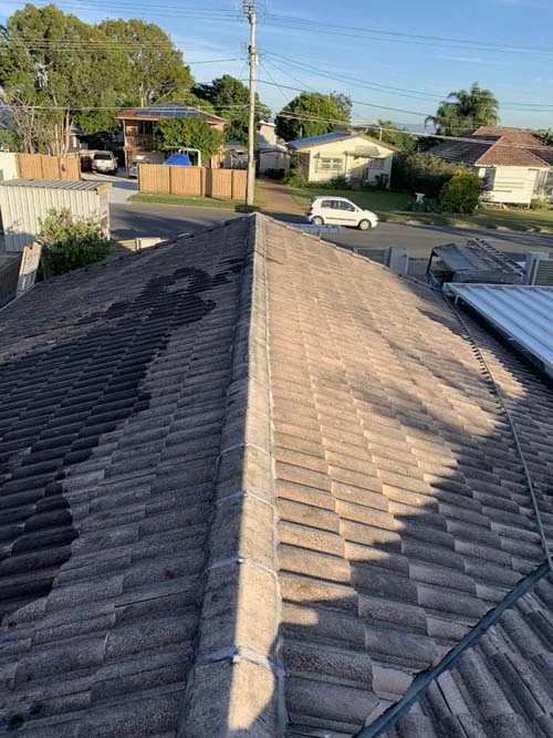 Essential Roof Restoration Maintenance Tips for Homeowners