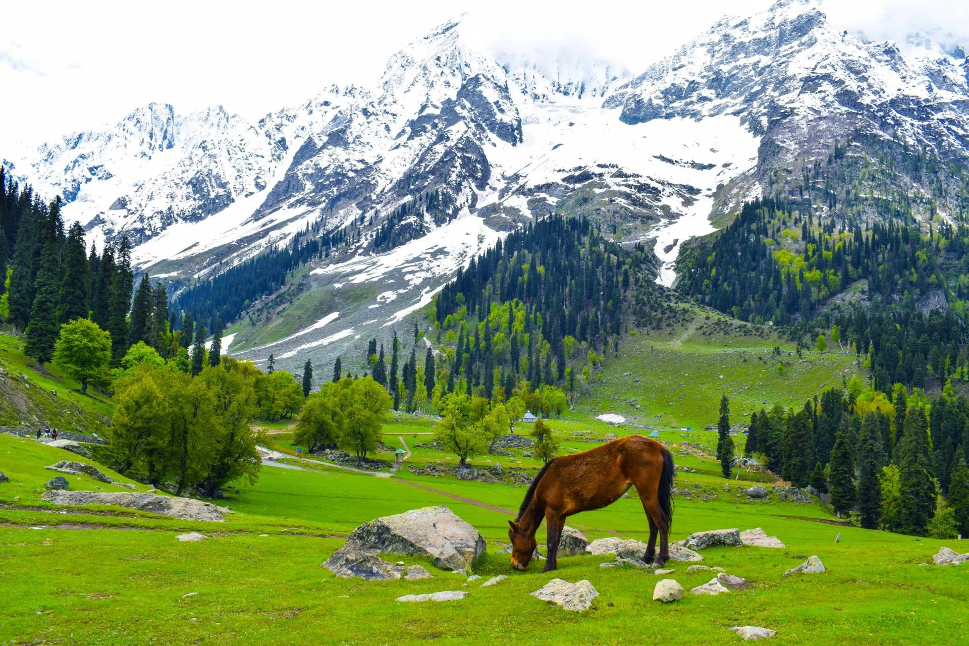 Kashmir Package Tour from Kolkata