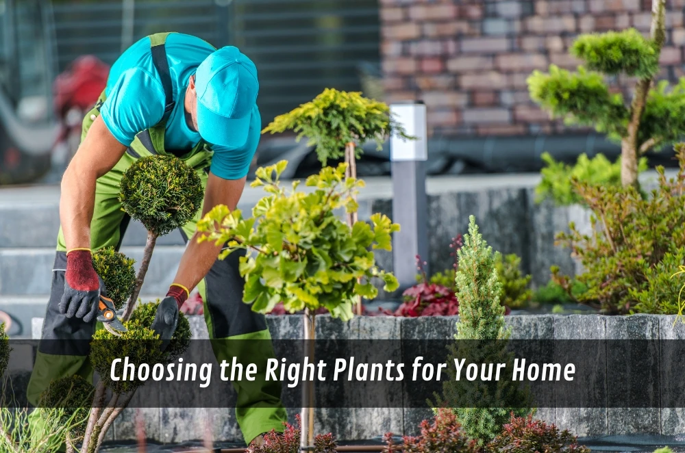 Choosing the Right Plants for Your Home