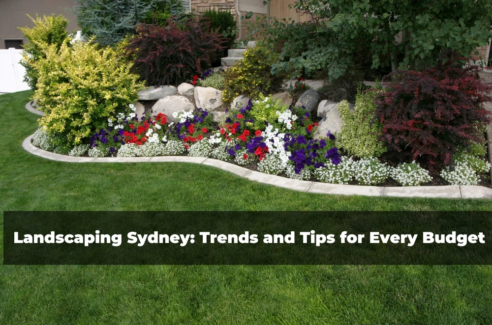 Landscaping Sydney: Trends and Tips for Every Budget
