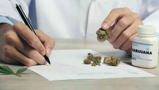 Kentucky Medical Cannabis Program and PTSD