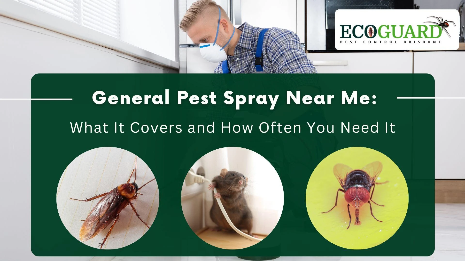 General Pest Spray Near Me: What It Covers and How Often You Need It