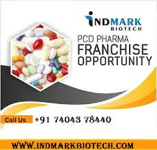 Get Access to Fruitful Opportunities with PCD Pharma Franchise Company in Patna