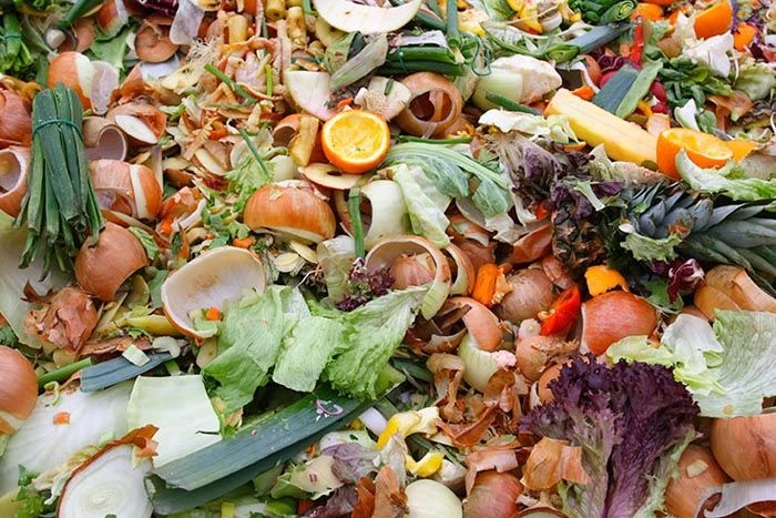 What Is Biodegradable Waste? Meaning, Types, and Environmental Benefits
