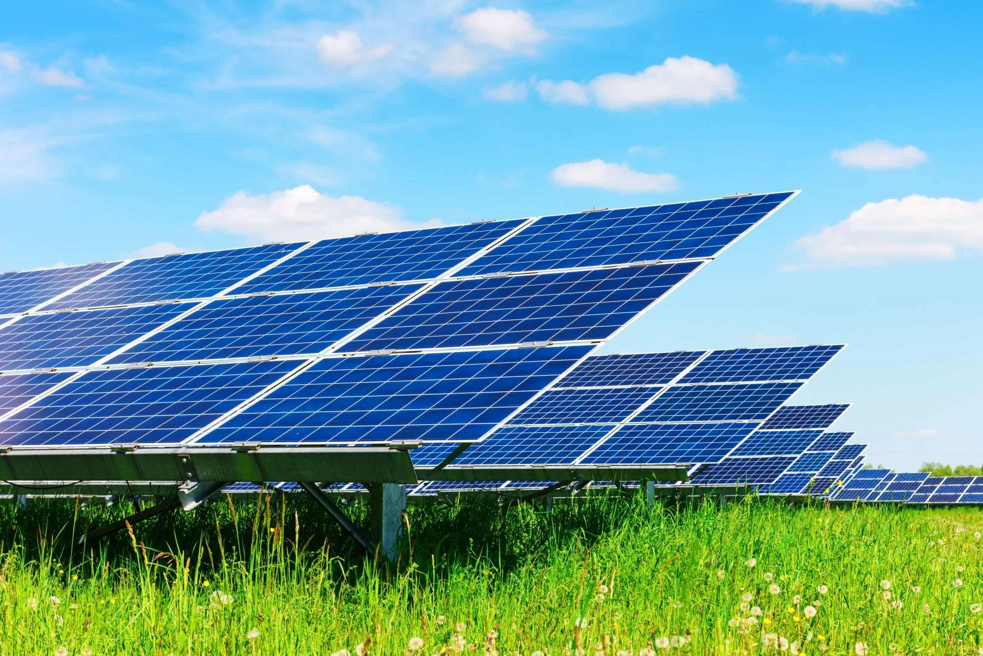 How to Choose the Right Commercial Solar Provider for Your Business