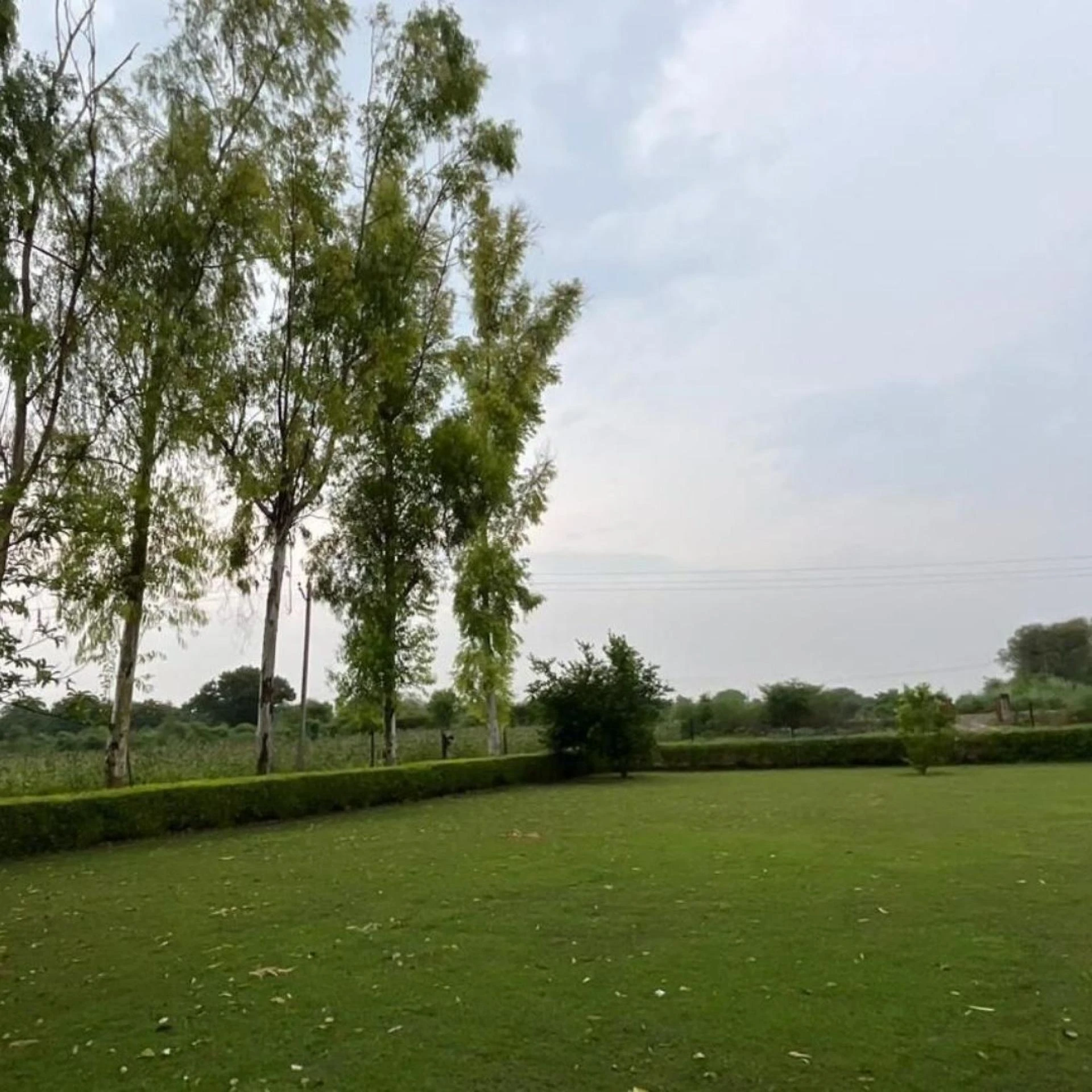 Ram Rattan Group: Pioneering Excellence in Real Estate