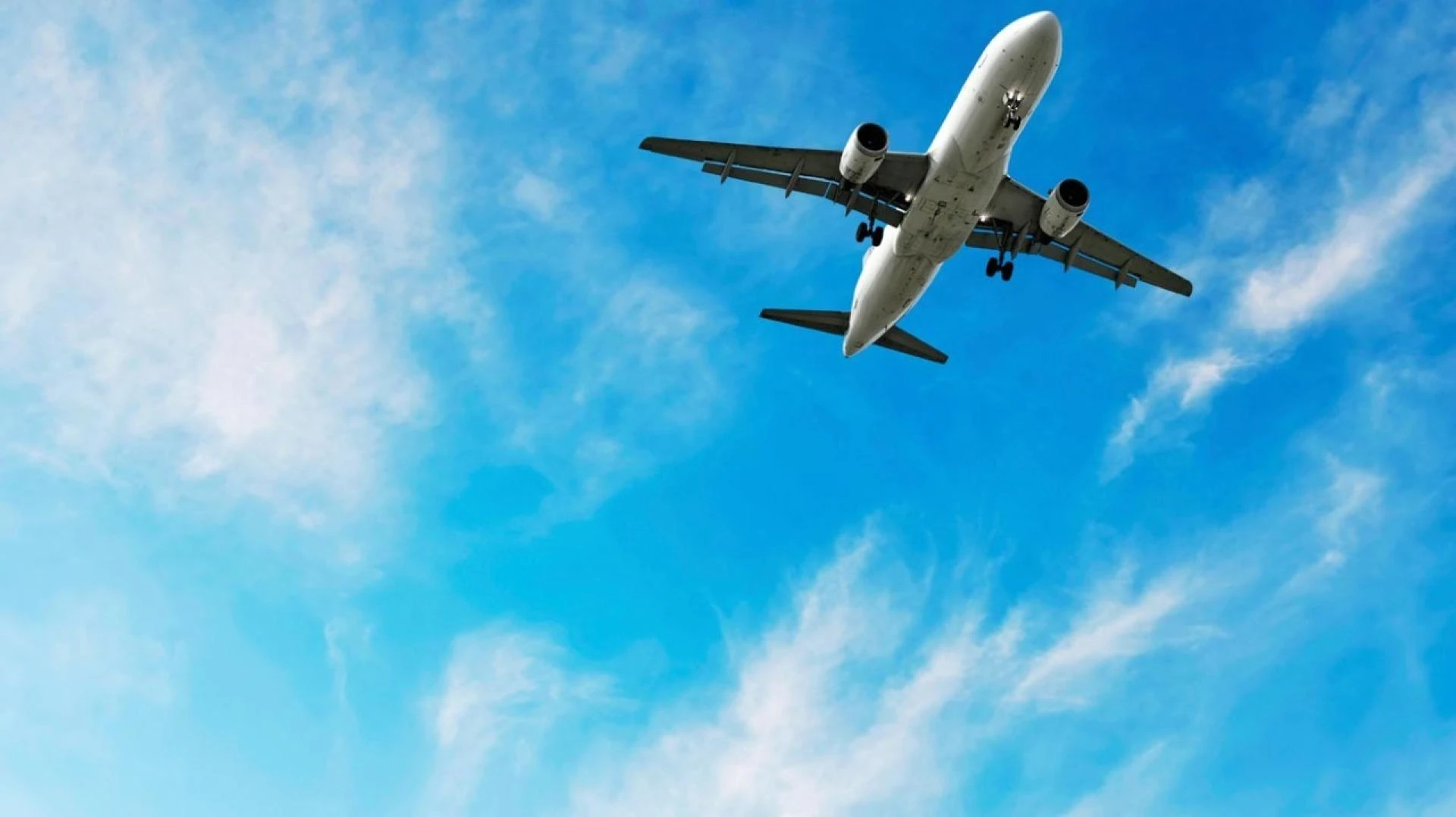 Expedi𝙖 USA Contact Numbers: Full-Detailed 2025 Guide