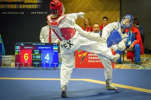 2 silver medals at Taekwondo Youth Championships in Ukraine