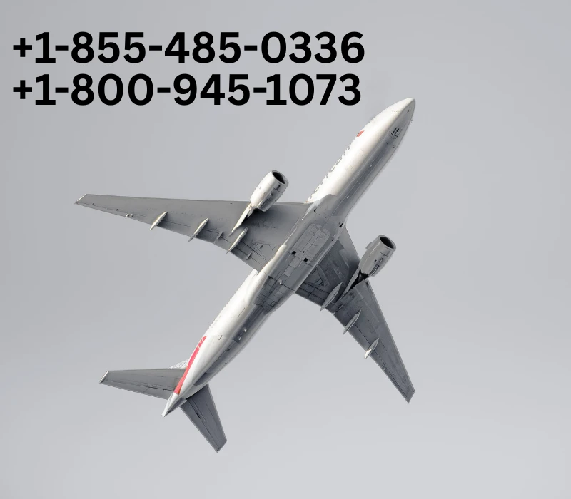 Ultimate List United Airlines®️ Customer Service™️ USA Contact Numbers: A Complete Guide