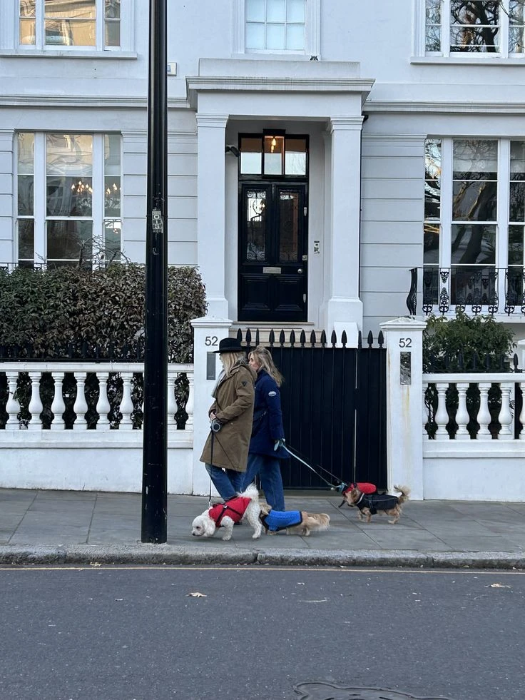 The Comfort of In House Dog Sitting London
