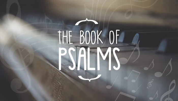 How does the Book of Psalms depict human suffering?