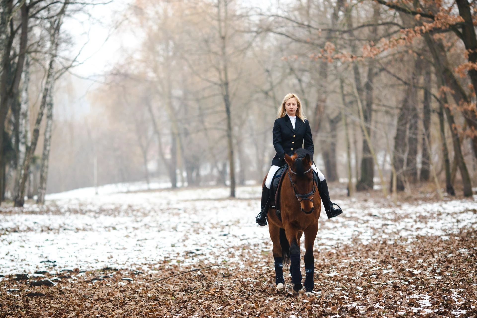 Winter Horse Riding: Layering, Warm-Up Routines, and Arena Drills