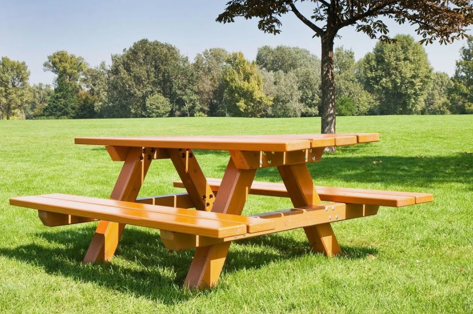 Round vs Rectangular Wooden Picnic Tables: What is Best for You