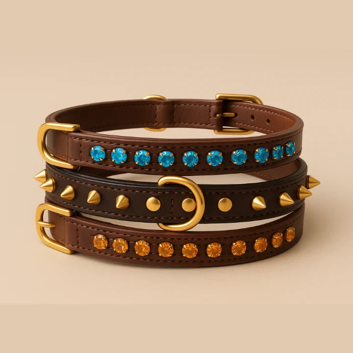 Top Accessories of Dogs Every Pet Owner Should Know About