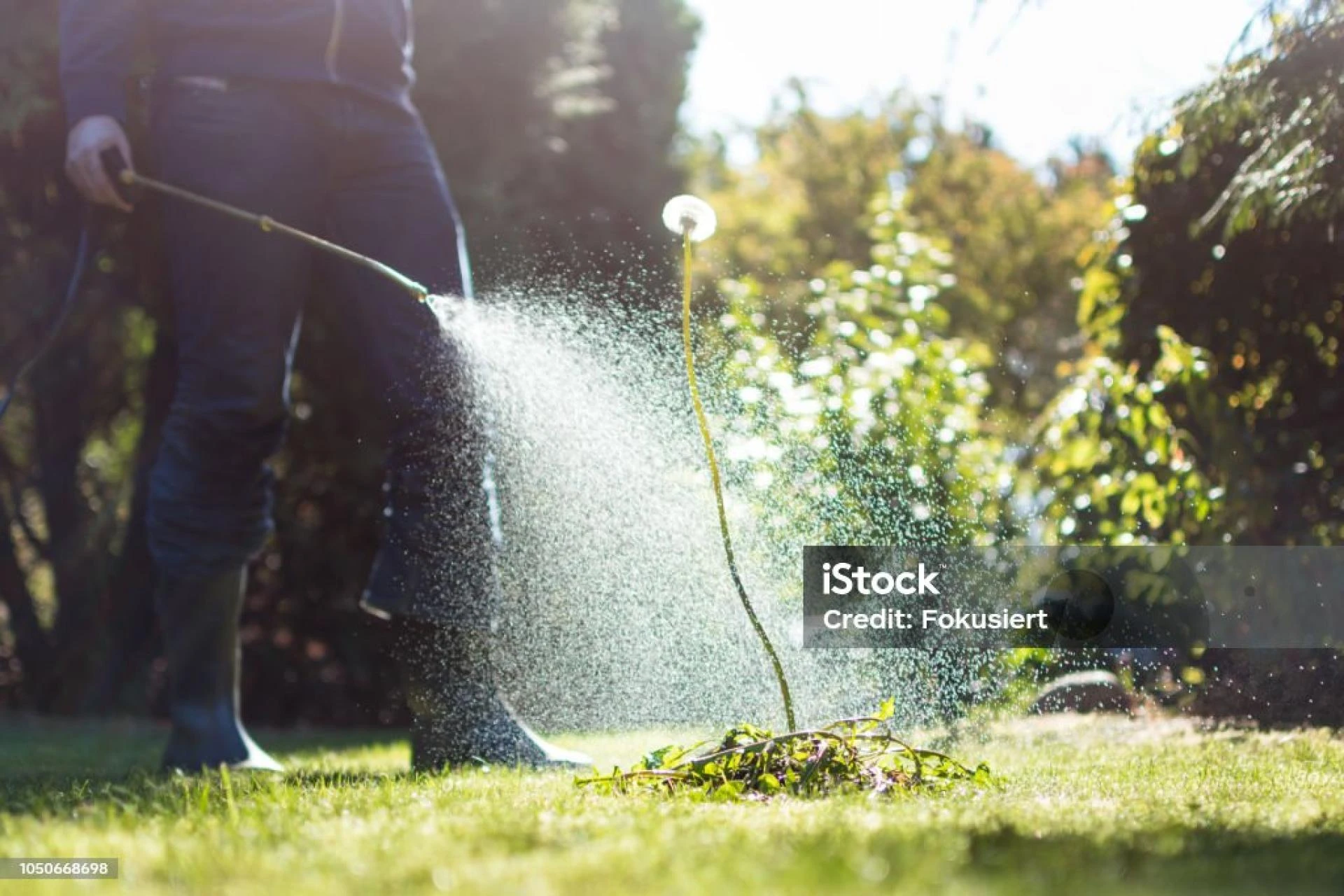 Busted! 7 Myths About Pest Control That Could Be Costing You Big