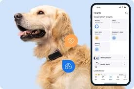 Tractive LTE GPS Tracker: A Complete Guide