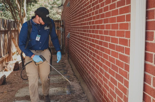 Protect Your Home with Expert Las Vegas Scorpion Control from Enviro Guard Pest Control