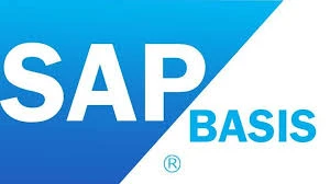 Best SAP BASIS Classes in Mumbai | Career Growth with SAP BASIS Training