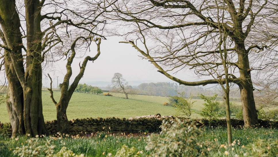 Explore Halton Grove's Enchanting Northumberland Wedding Venues