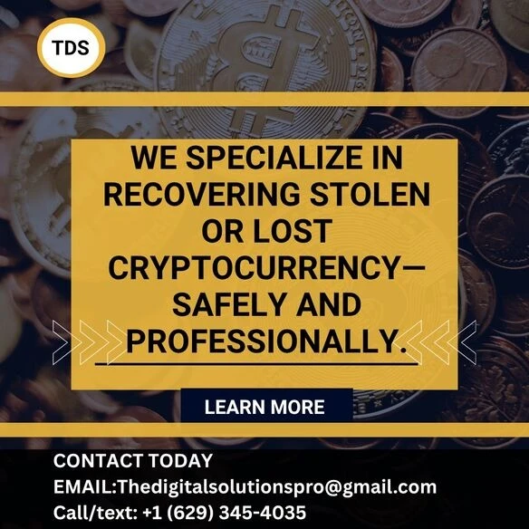 Professional Stolen Crypto Recovery Services by The Digital Solution