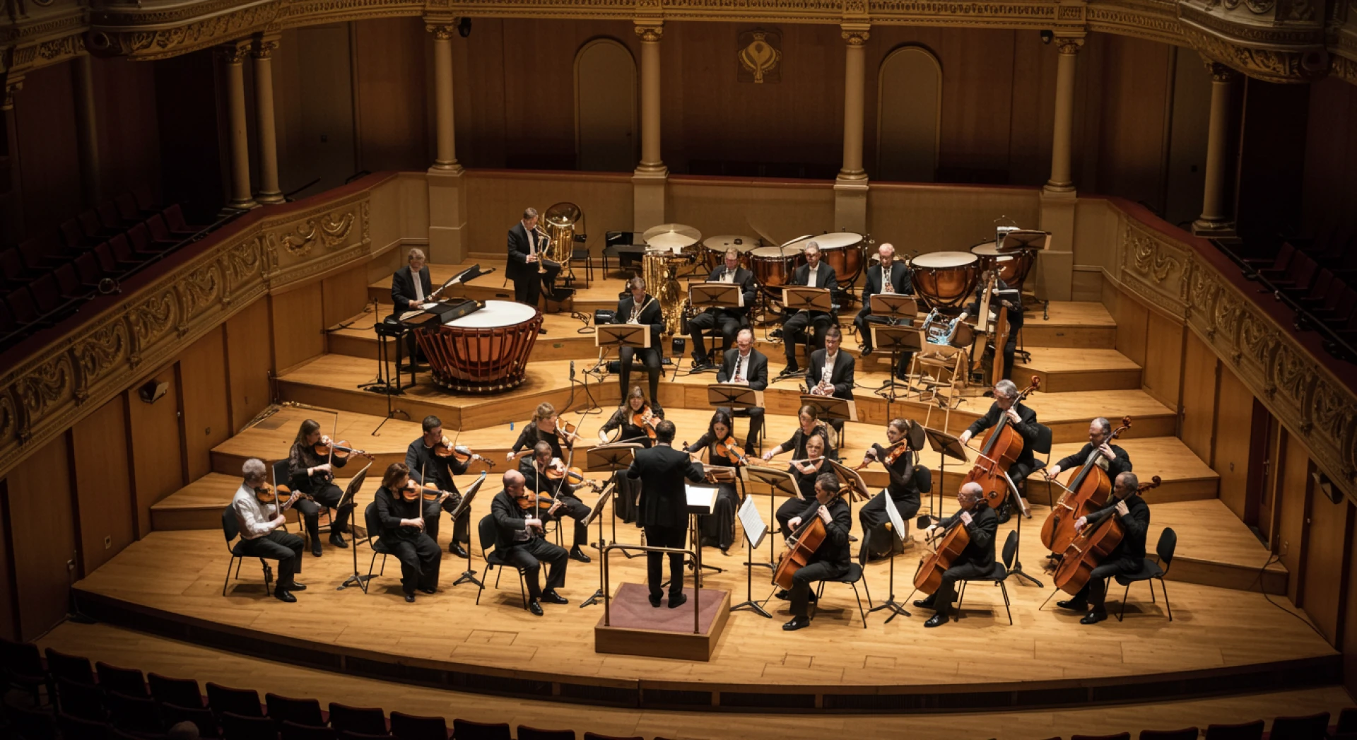 Understanding Musical Instruments A Deep Dive into the Symphony Orchestra