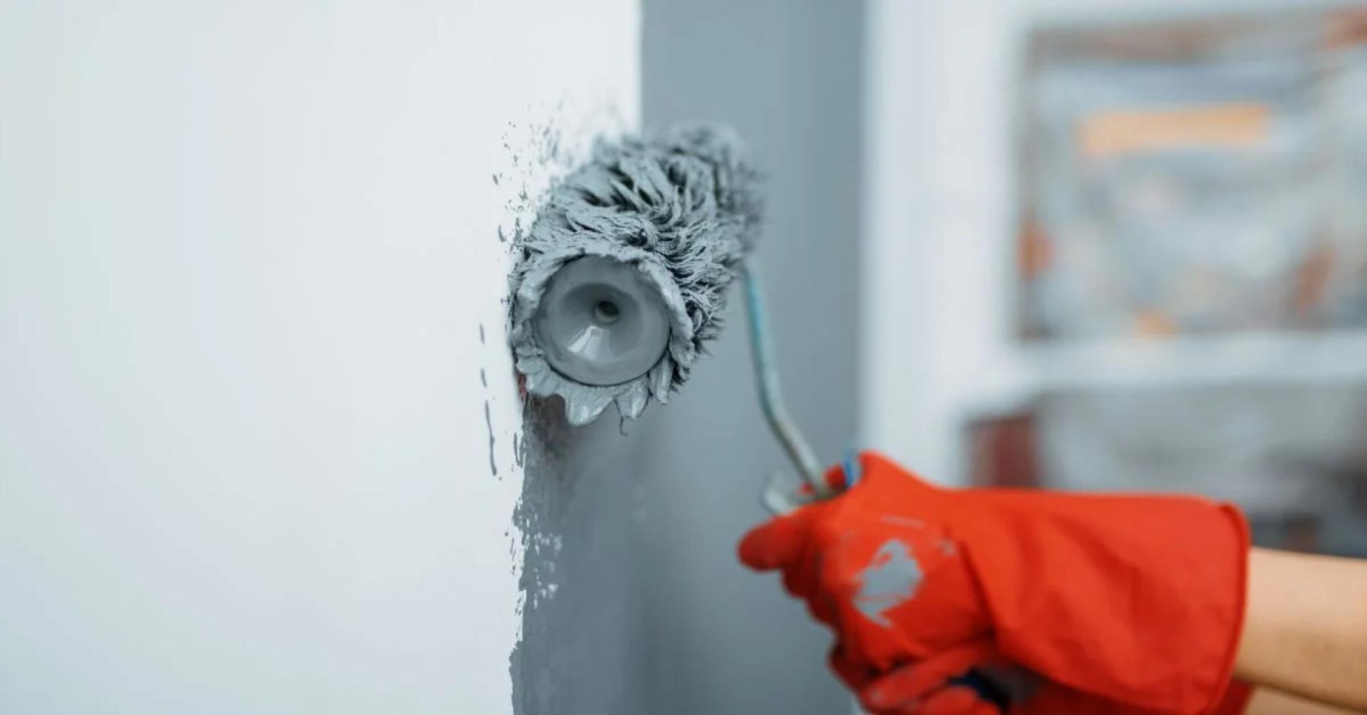 DIY vs Professional Painting: Cost Breakdown in Australia