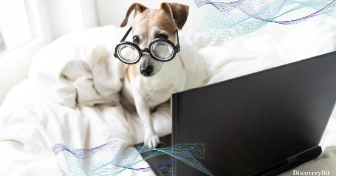 Visit Discovery Bit to Learn Fascinating Facts About Animal Intelligence