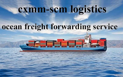 A Comprehensive Guide to Choosing the Best Sea Freight Forwarding Services