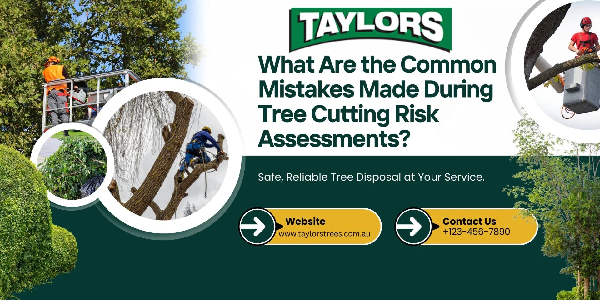 What Are the Common Mistakes Made During Tree Cutting Risk Assessments?