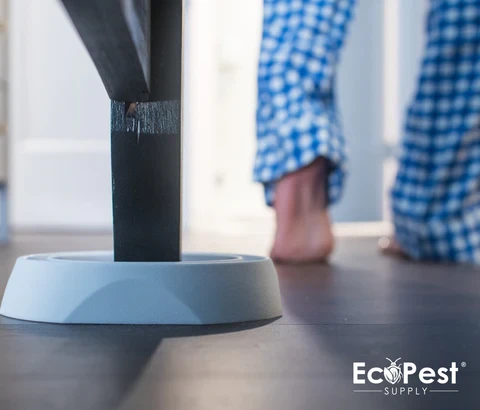 Bed Bug Interceptors - An Eco-Friendly Approach to Bed Bug Removal and Control