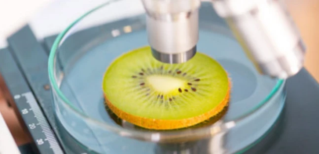 Some Trends That Will Reset &amp; Reshape the Food Service Industry