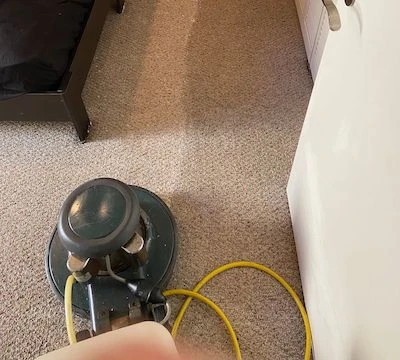 Why Professional Carpet Cleaning Extends the Life of Your Floors