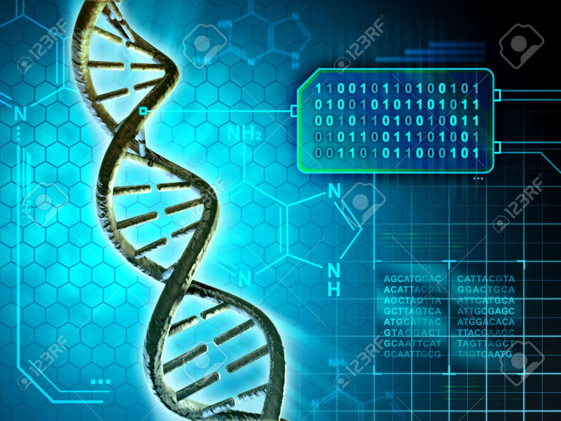 Courses Offered by RASA Life Science Informatics: