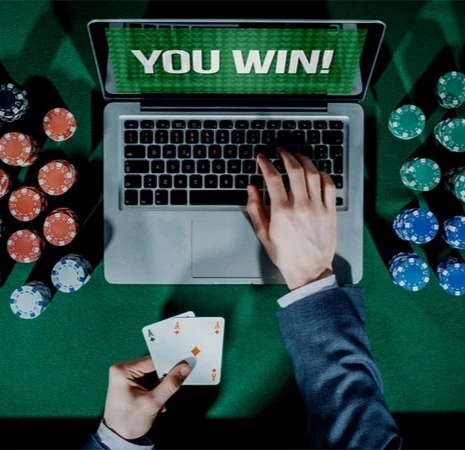 Experience Elite Betting with Winbuzz Bet