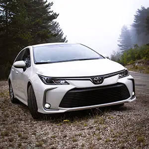 The Best Day Trips to Take Without Worrying About Driving