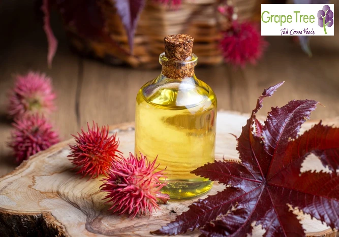 Castor Oil: A Timeless Remedy for Health, Beauty, and Wellness