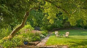 Lord’s Tree Service: Expert Yard Expansions for a Beautiful, Functional Outdoor Space