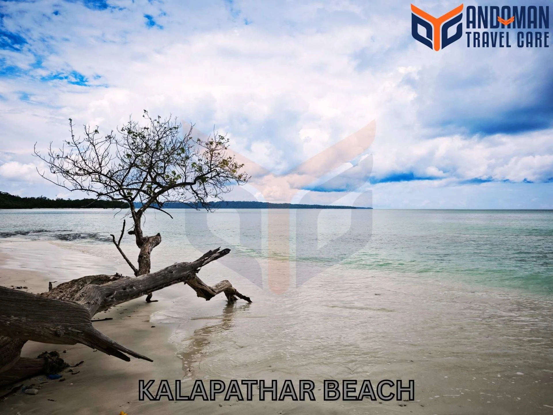 A Simple Guide to the Best Andaman Family Tour Packages