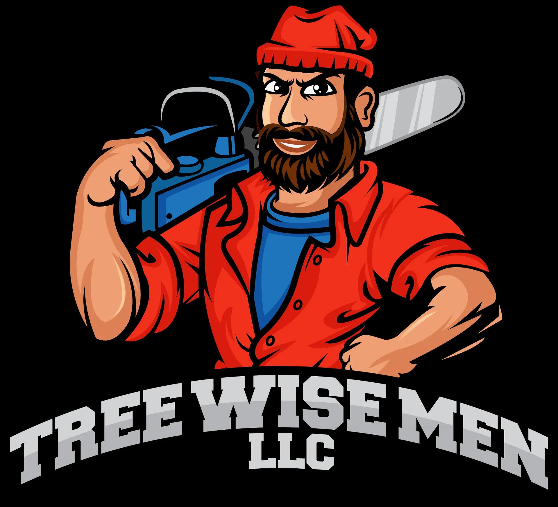 The Essentials of Tree Care and Maintenance