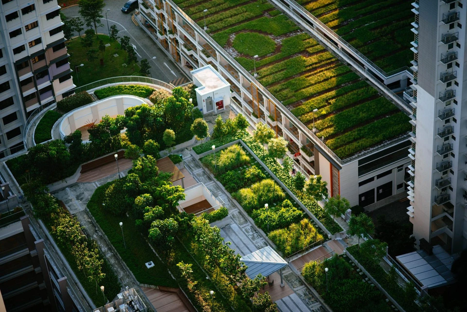 Breathing Walls, Flourishing Roofs: The Transformative Power of Vertical Gardens in Urban Spaces