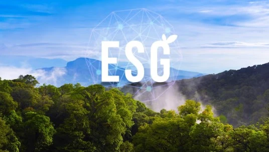 What Role Does CSO Consulting Play In Stakeholder Engagement