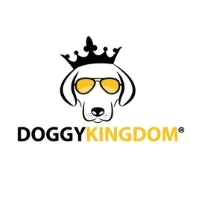 Harnesses, Collars & Leashes: Essential Gear for Every Dog Owner